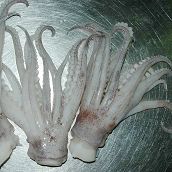 Squid Tentacles Skin On