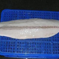 Oilfish Fillet Skinless
