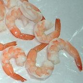 White Shrimp CPDTO